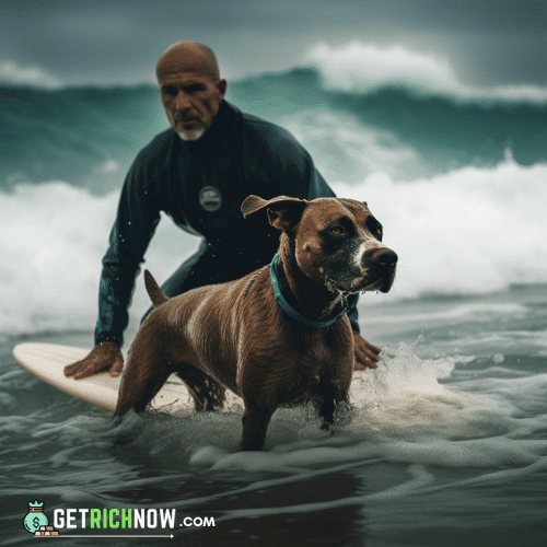 dog surfboarding